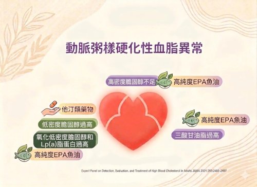 在我們檢驗了Lp(a) 發現偏高那能怎麼辦呢？